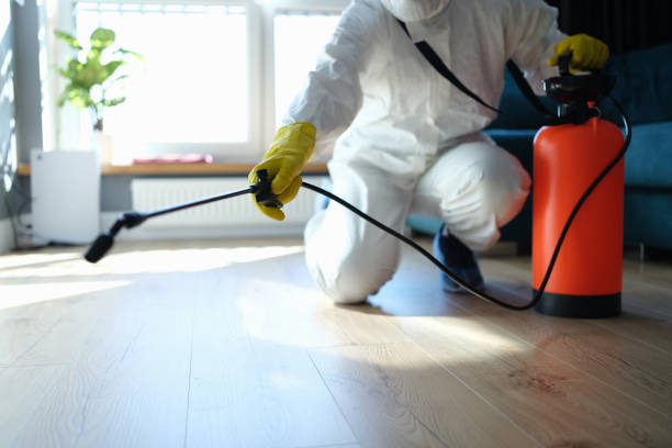 Reliable Odor Removal contractor in La Porte, TX by Trauma Clean Pros